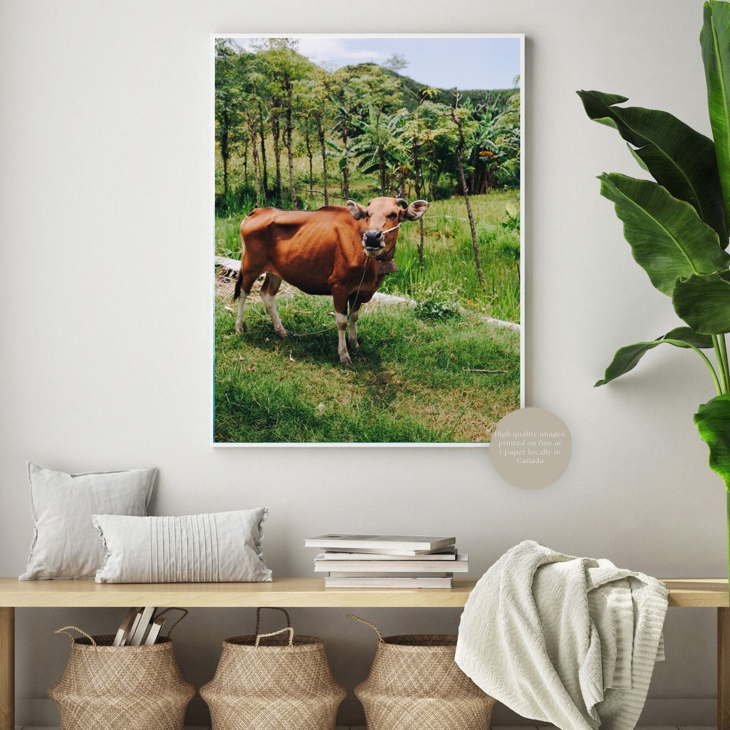 The Cow - Steffi Jade