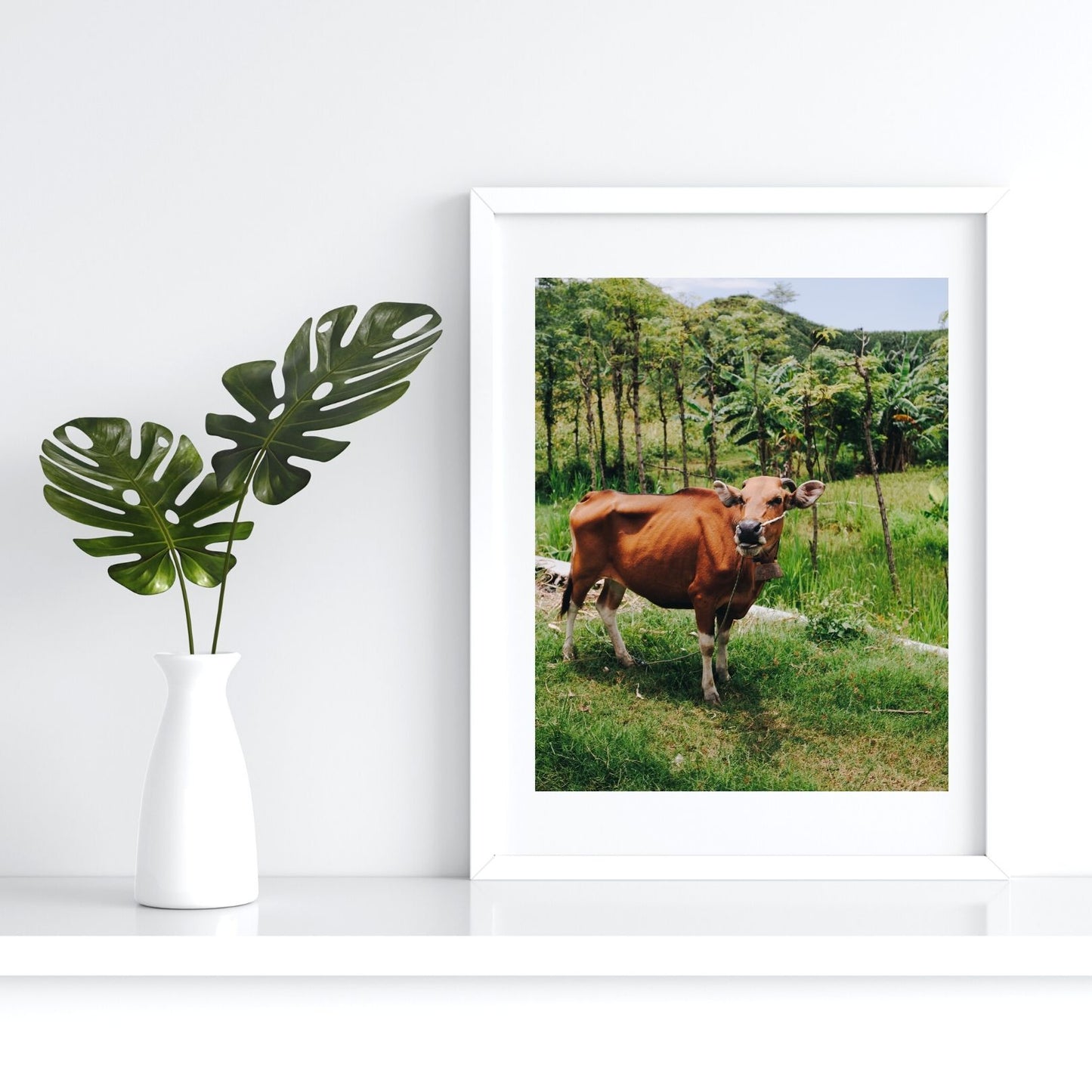 The Cow - Steffi Jade