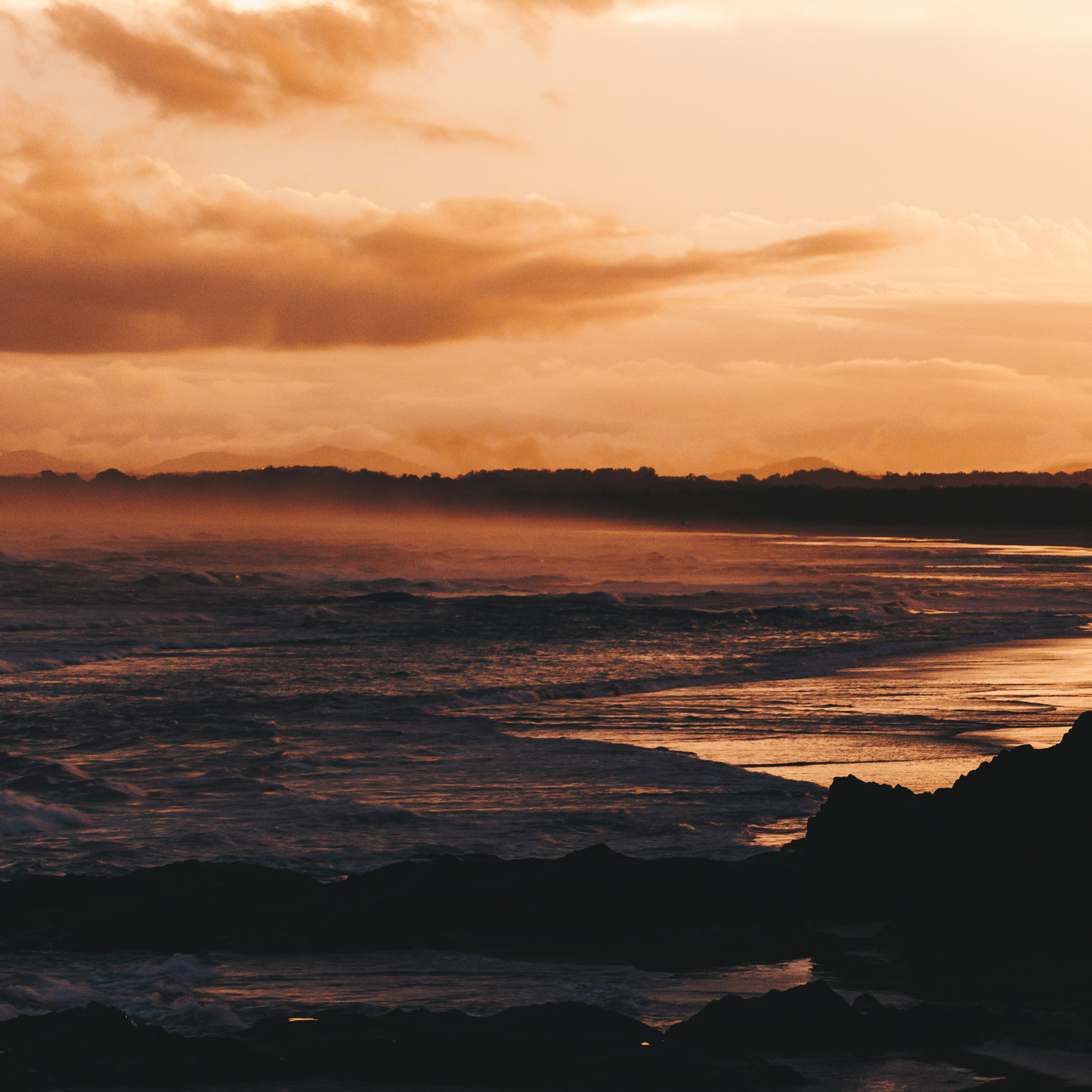 Along the Coastline