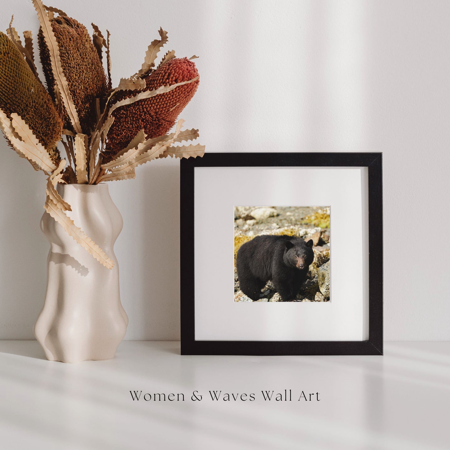 The Bear - Steffi Jade