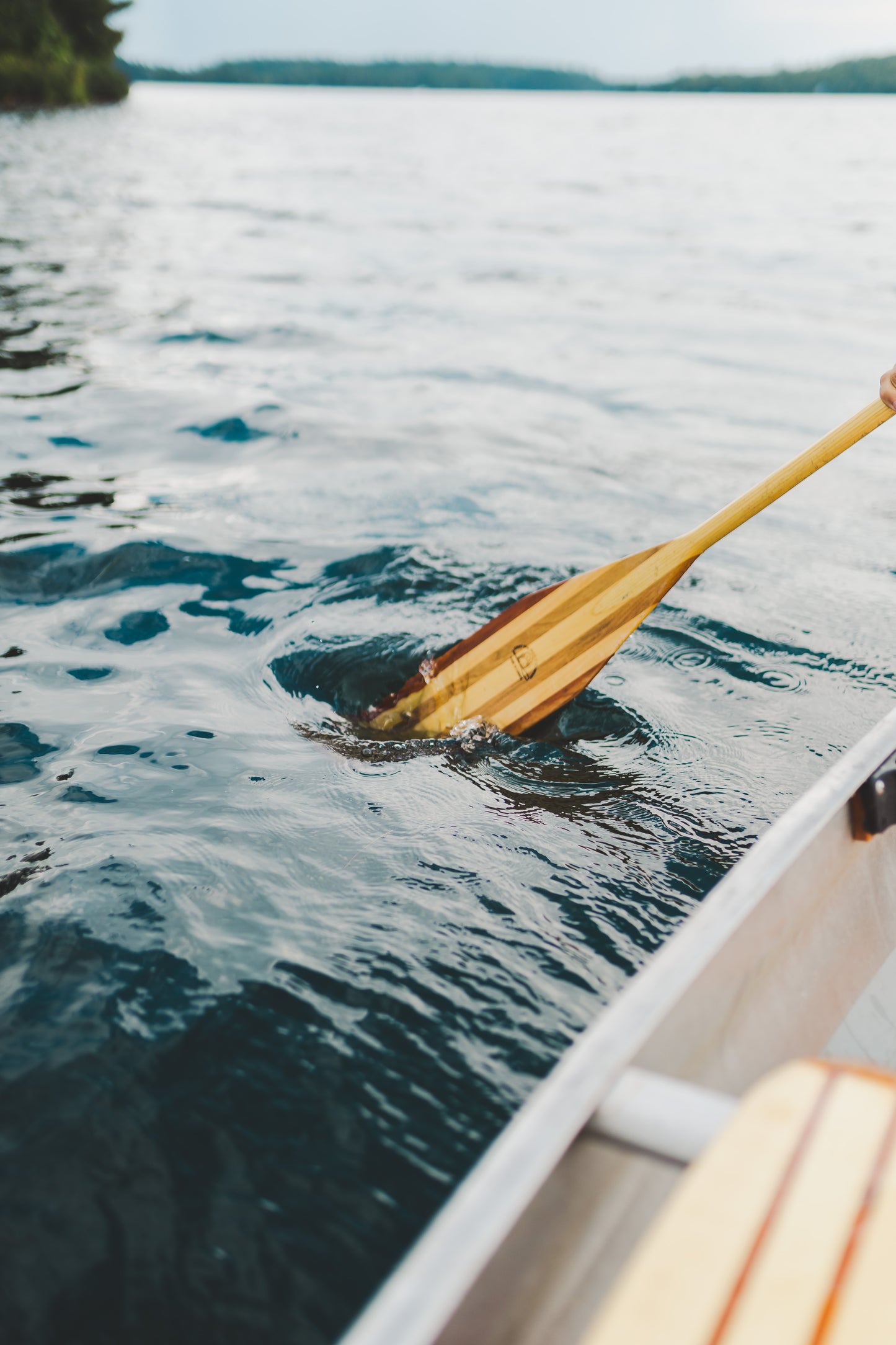 Ready Oar Not - Steffi Jade