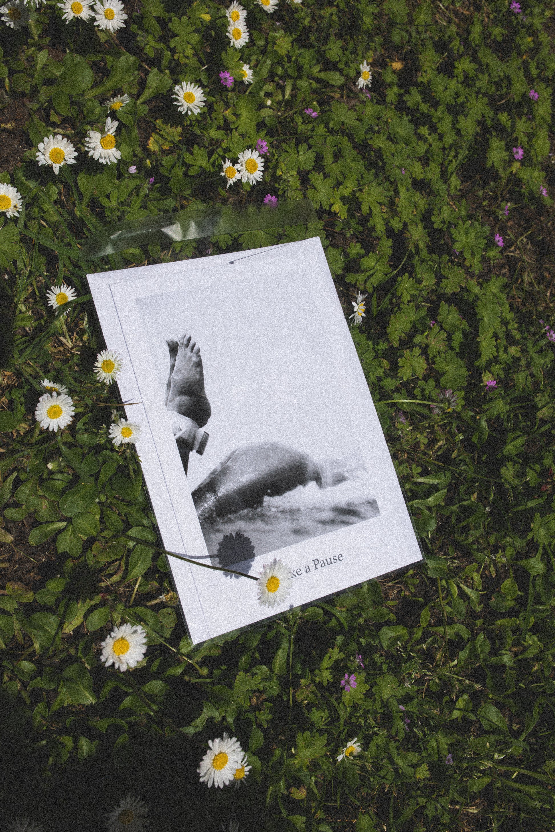 Tippy Toes Art Card - Steffi Jade
