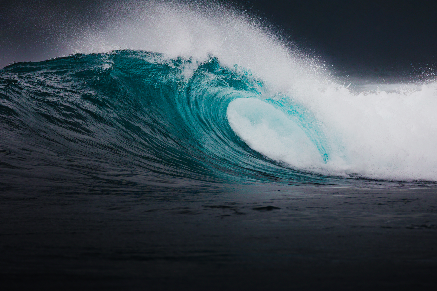 Blue Crush - Steffi Jade