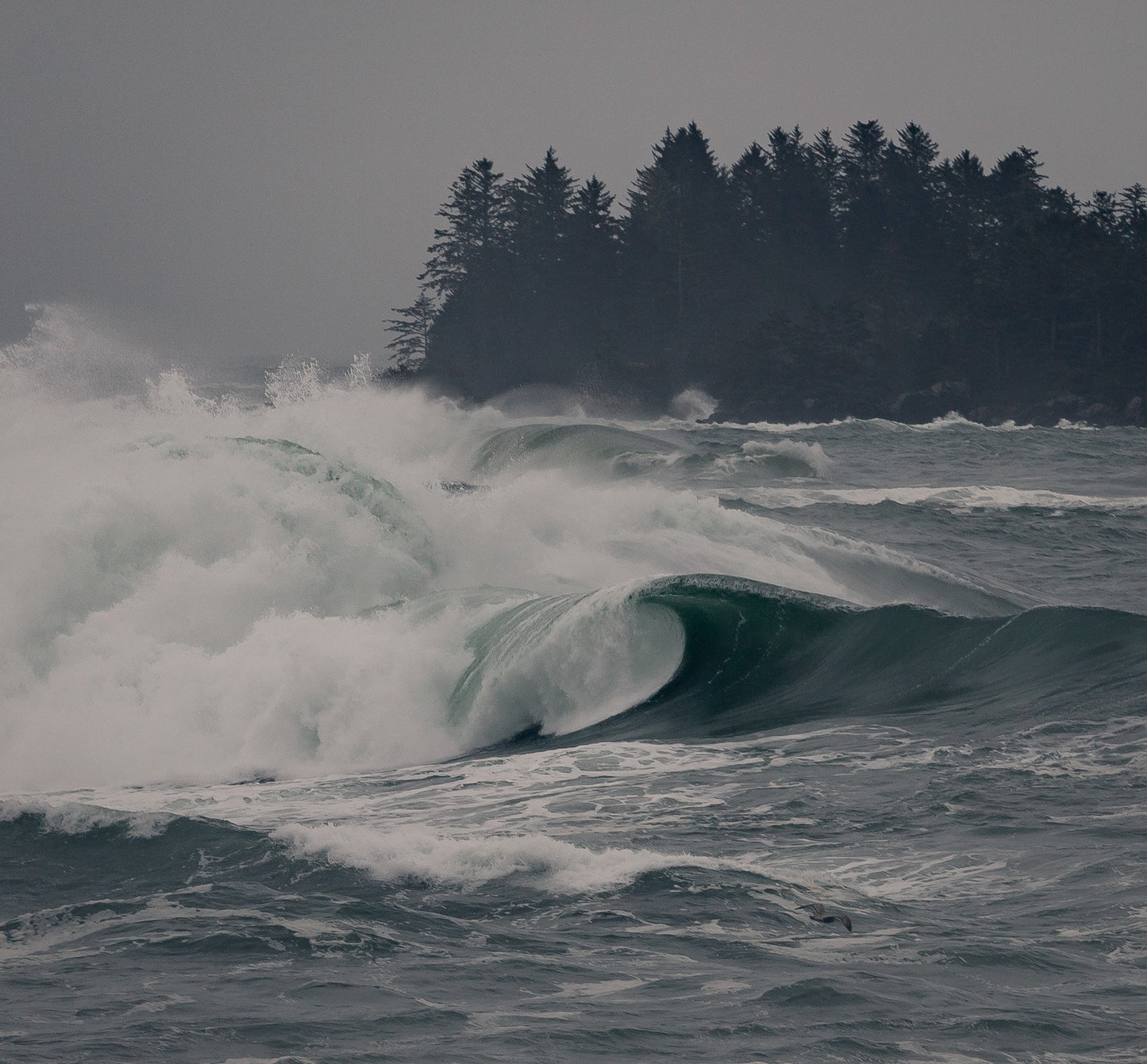 Storm Barrel - Steffi Jade