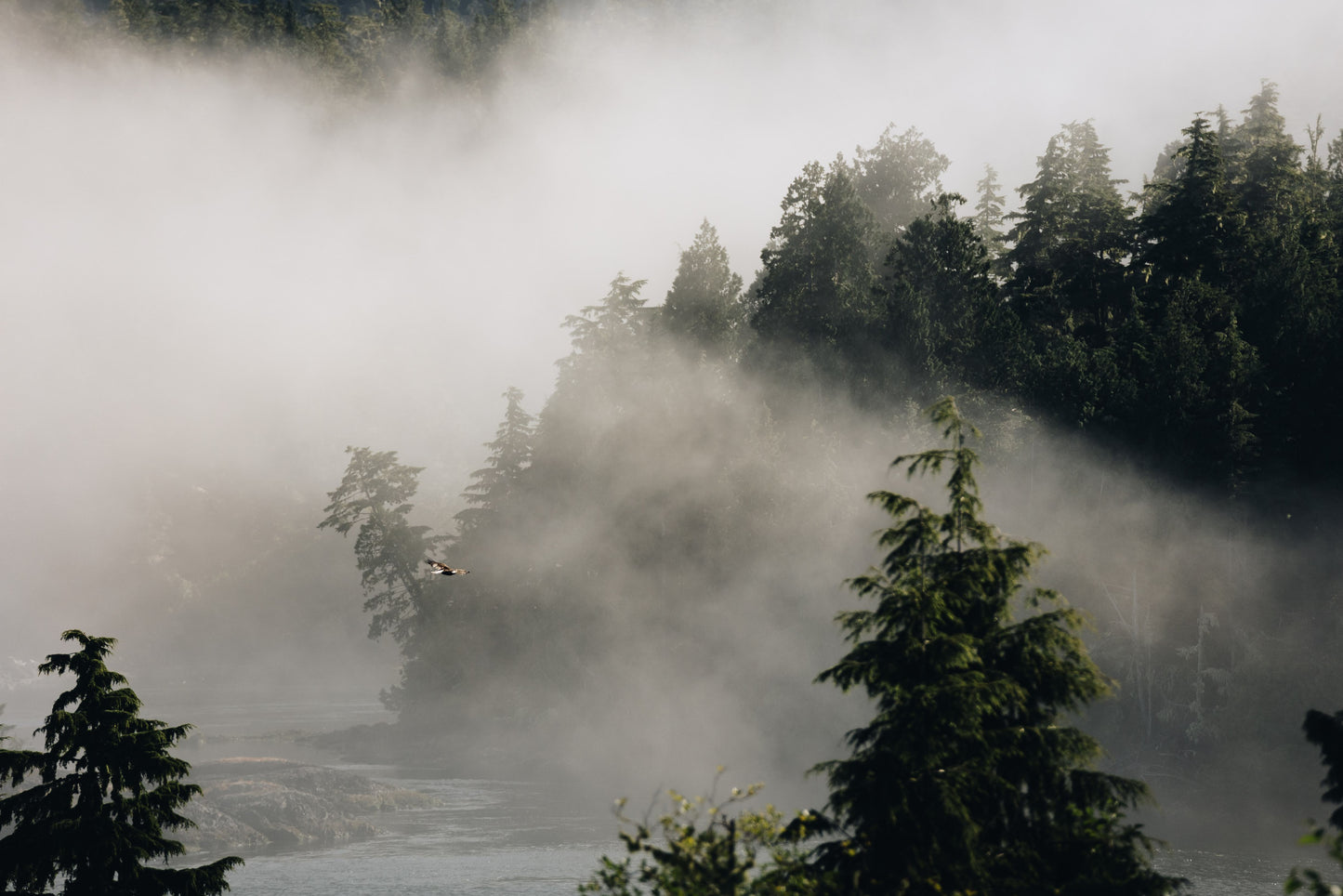 Mist on the Inlet - Steffi Jade
