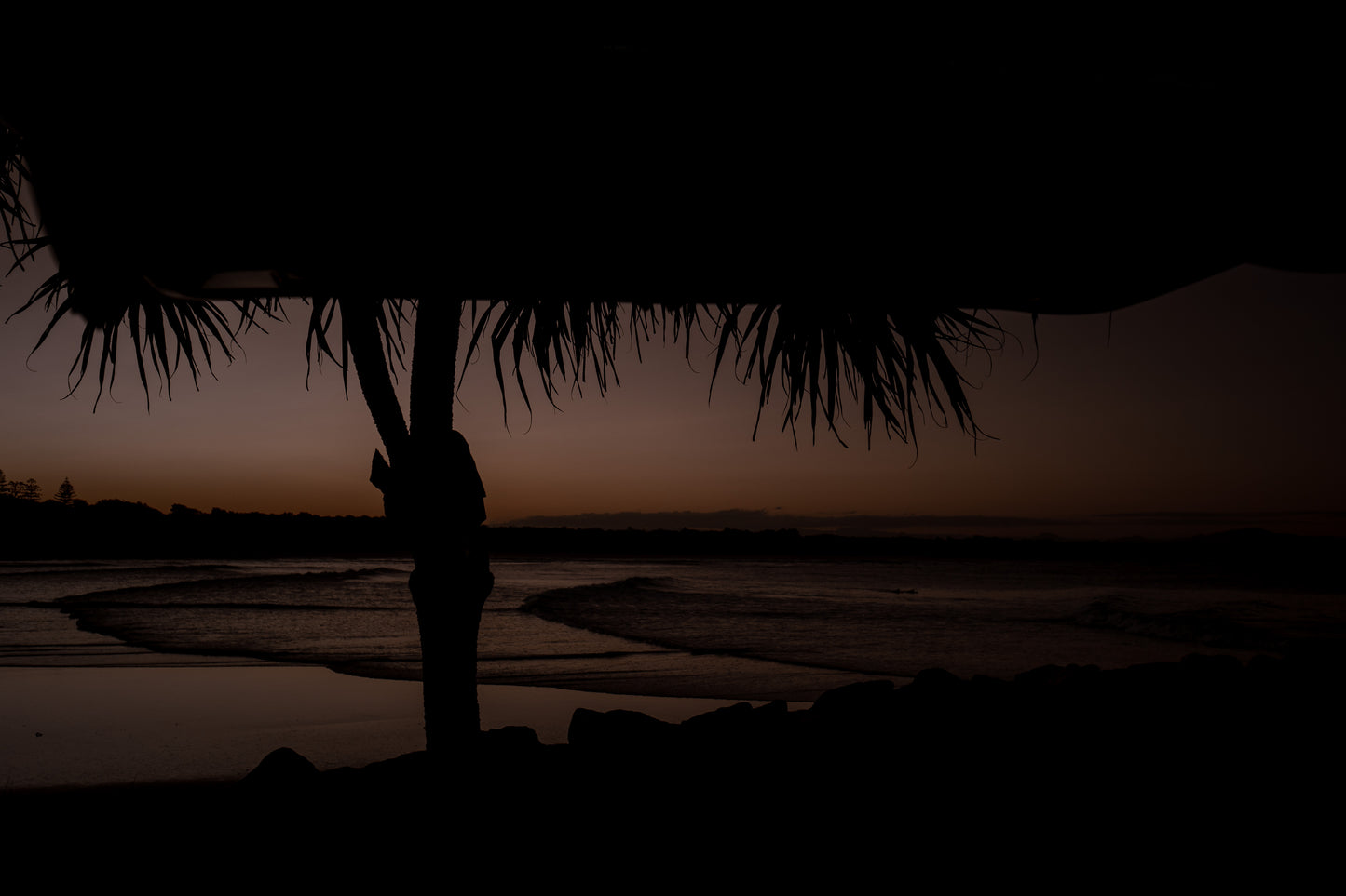 an image of sunset at at the beach with the silhouette of a palm tree in frame, shot in Australia by Steffi Jade