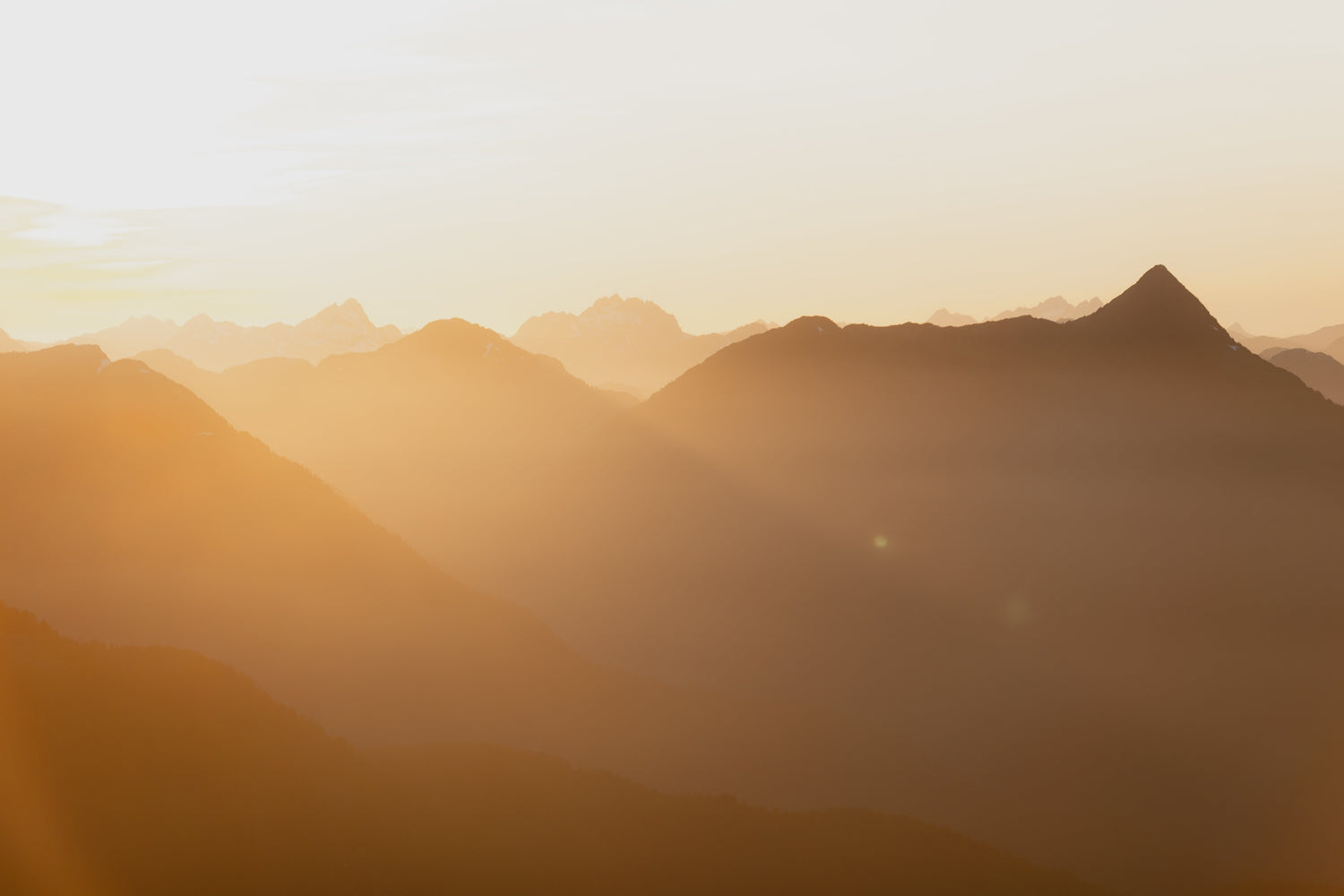 Golden Layers - Steffi Jade